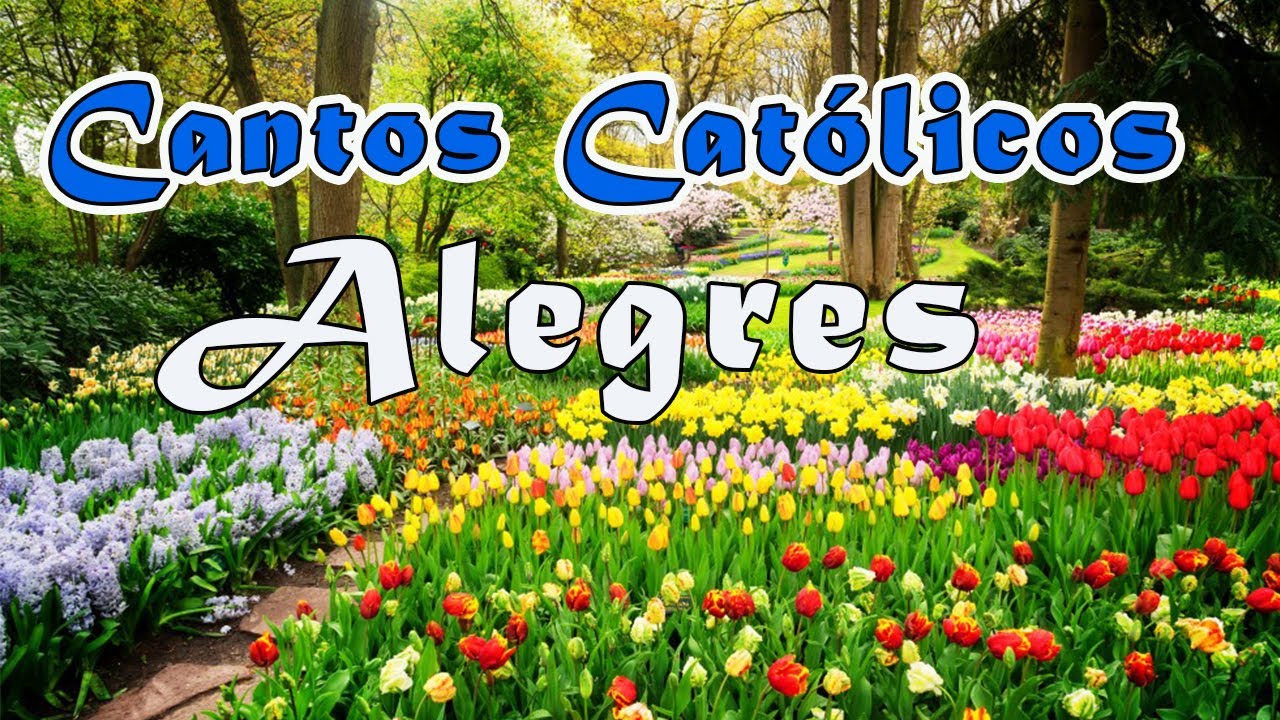 CANTOS CATOLICOS ALEGRES 2024