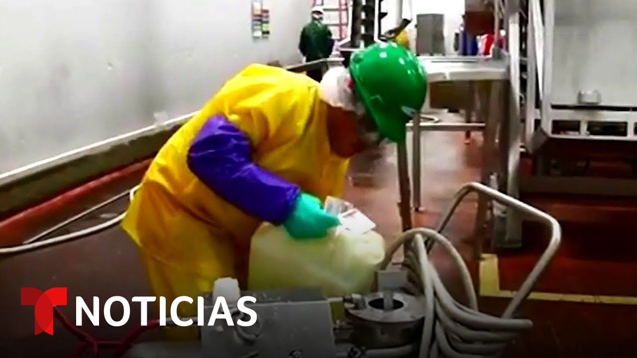 Menores podr&iacute;an haber sido v&iacute;ctimas de tr&aacute;fico humano | Noticias Telemundo