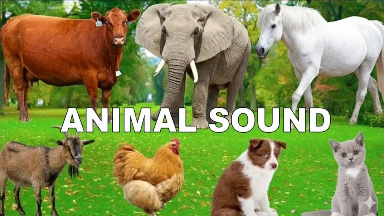 Animal Sounds for Children 🐎| 20 Amazing animal to learn🐕| Learn Domestic & Wild Animal Names&Noises