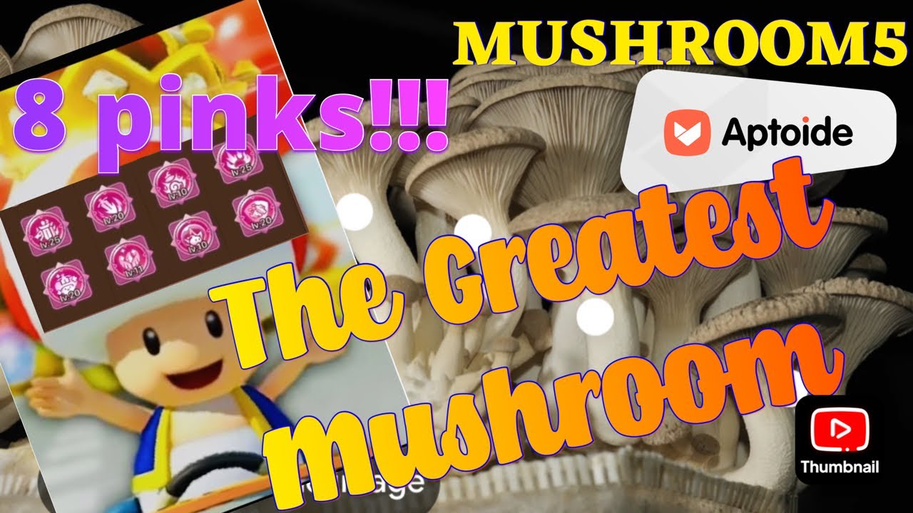 Legend of Mushroom’s greatest player!!!
