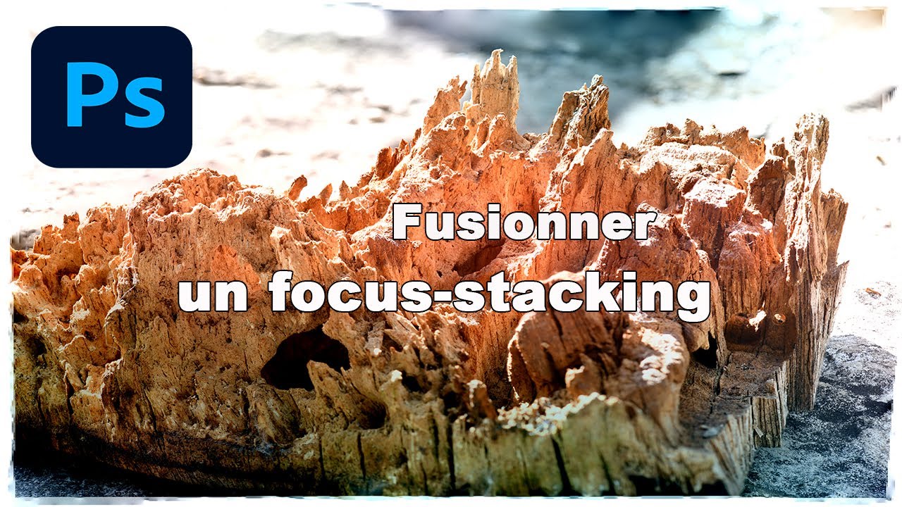 Comment fusionner un focus stacking pour une mise au point parfaite de A à Z !