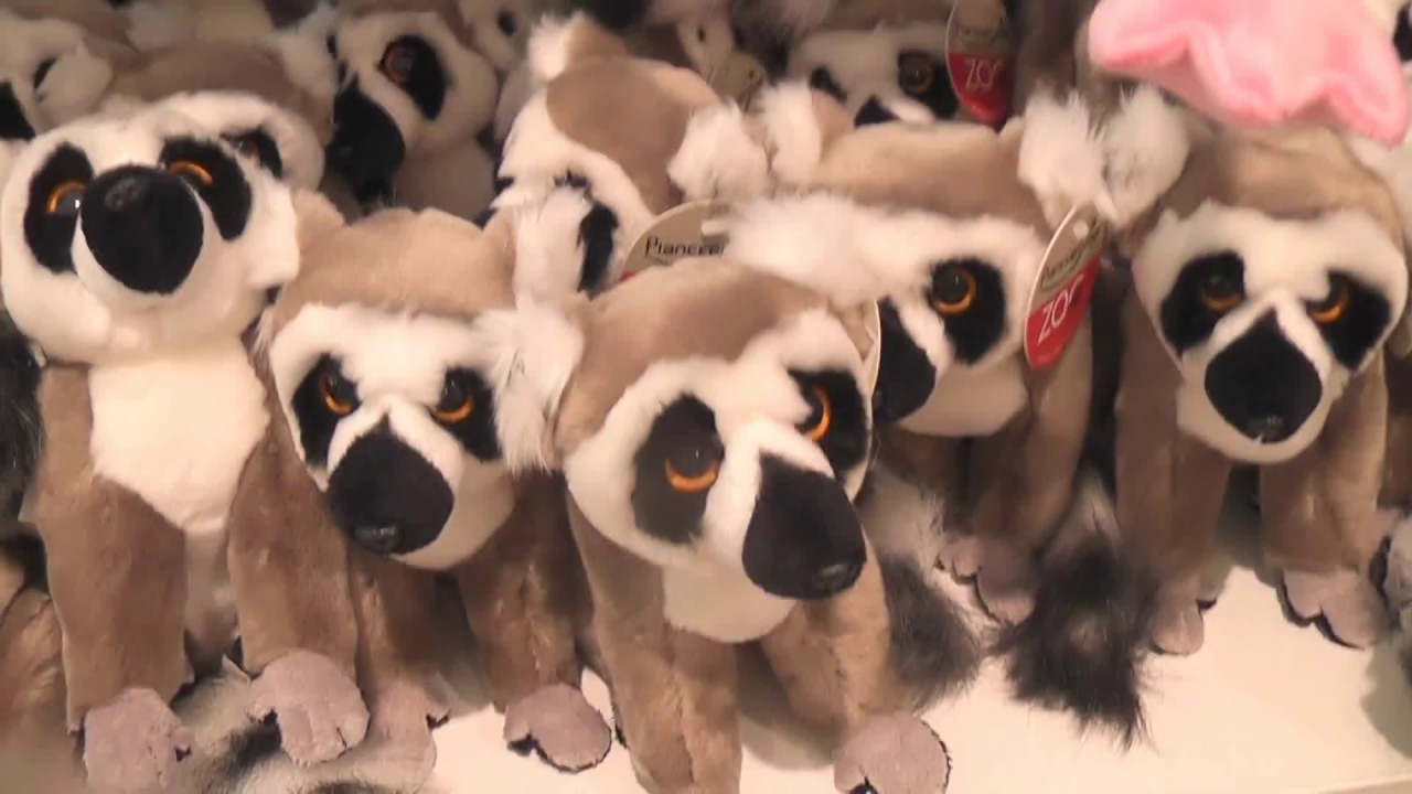 Plush from the zoo