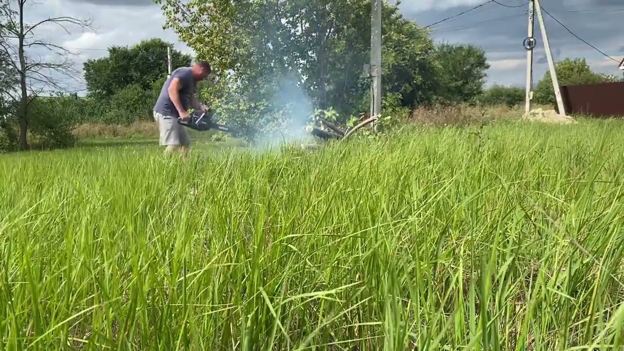 Приехал на участок, пилю дрова)