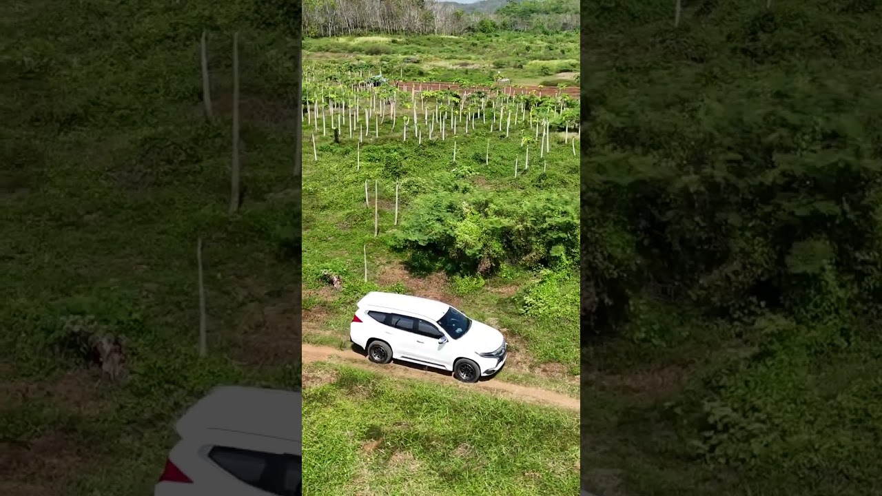 Video drone mobil pajero on the road 