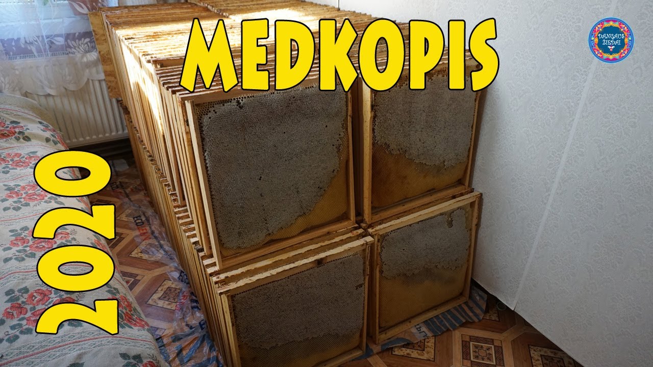 Medkopis 2020