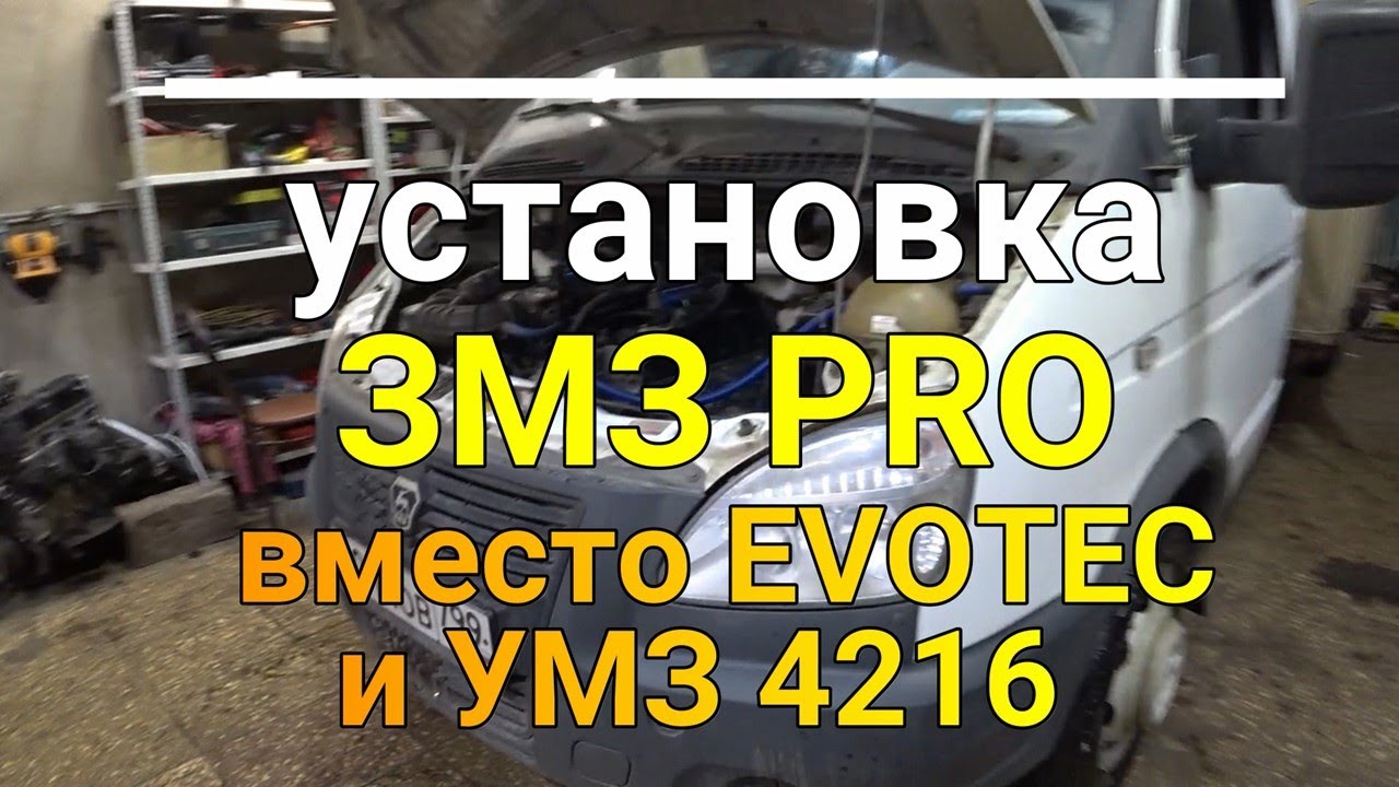 Замена EVOTEC и УМЗ 4216 на ЗМЗ 409ПРО/Новые сердца для двух рабочих лошадок Next  и Газель Бизнес