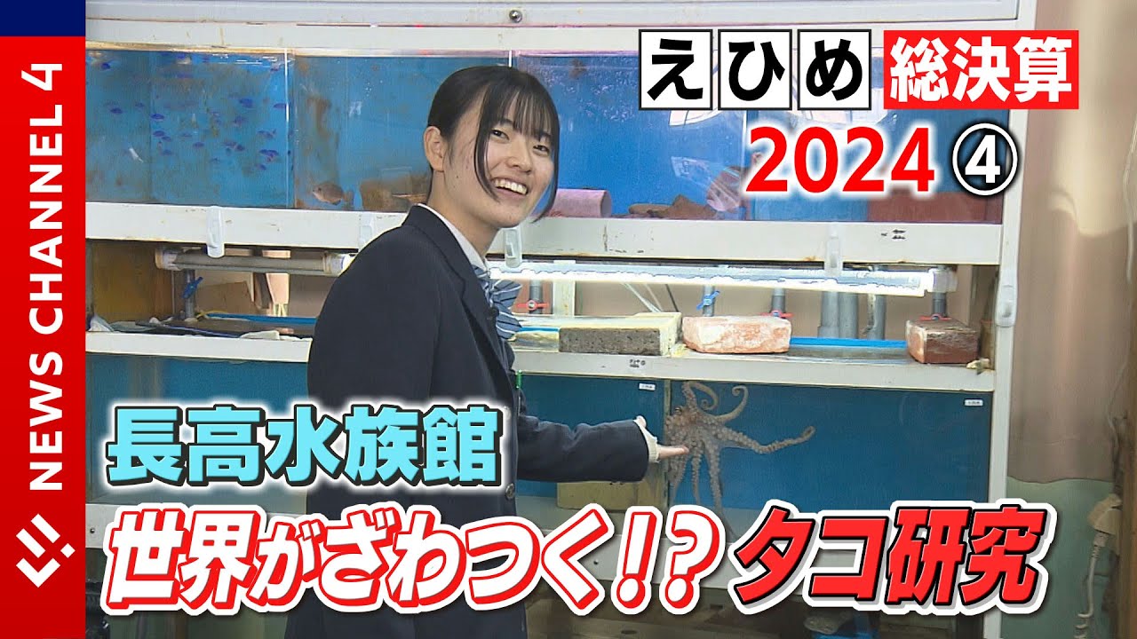 【長高水族館】魚たちのお引越しに…タコ愛で世界的大発見！？水族館部の１年＜NEWS CH.4＞
