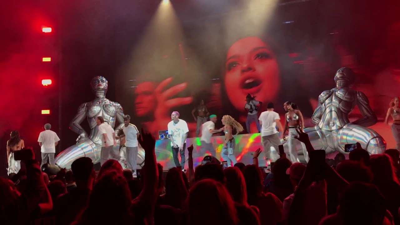 Chris Brown Indigoat Tour Day 1 Pt 4