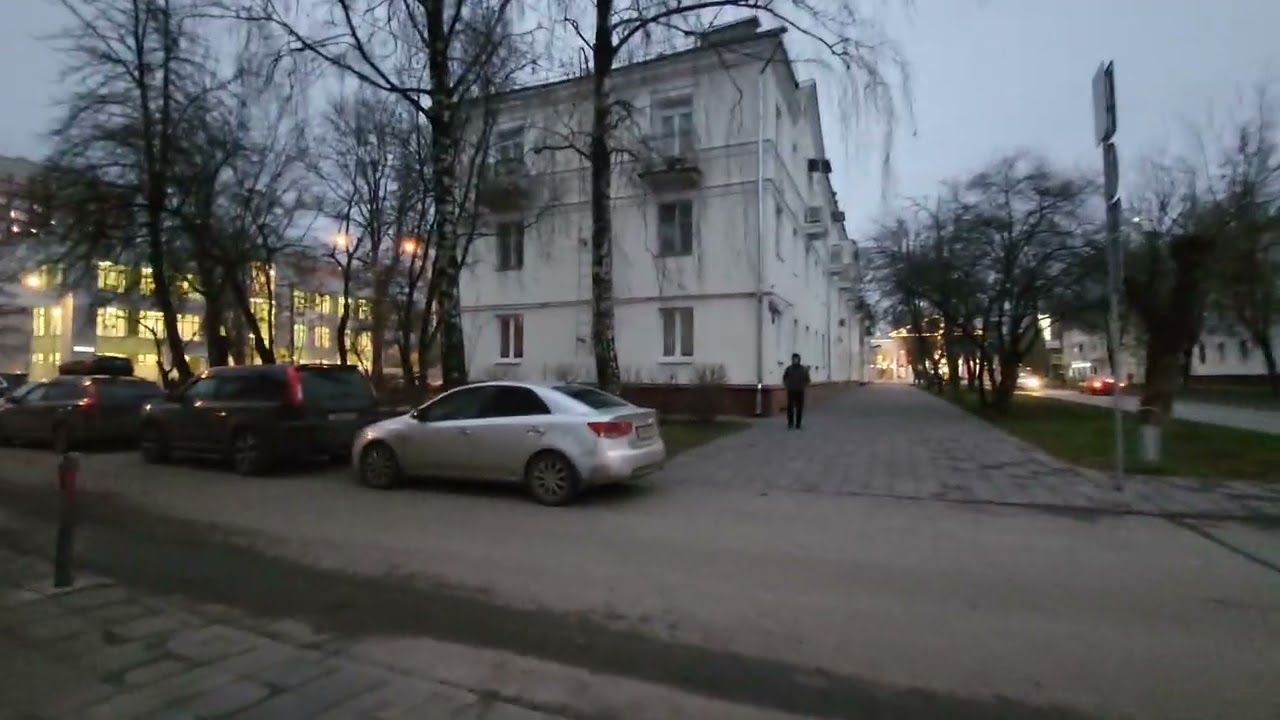 25 ноября 2025г. Осень в городе Щербинка, Москва