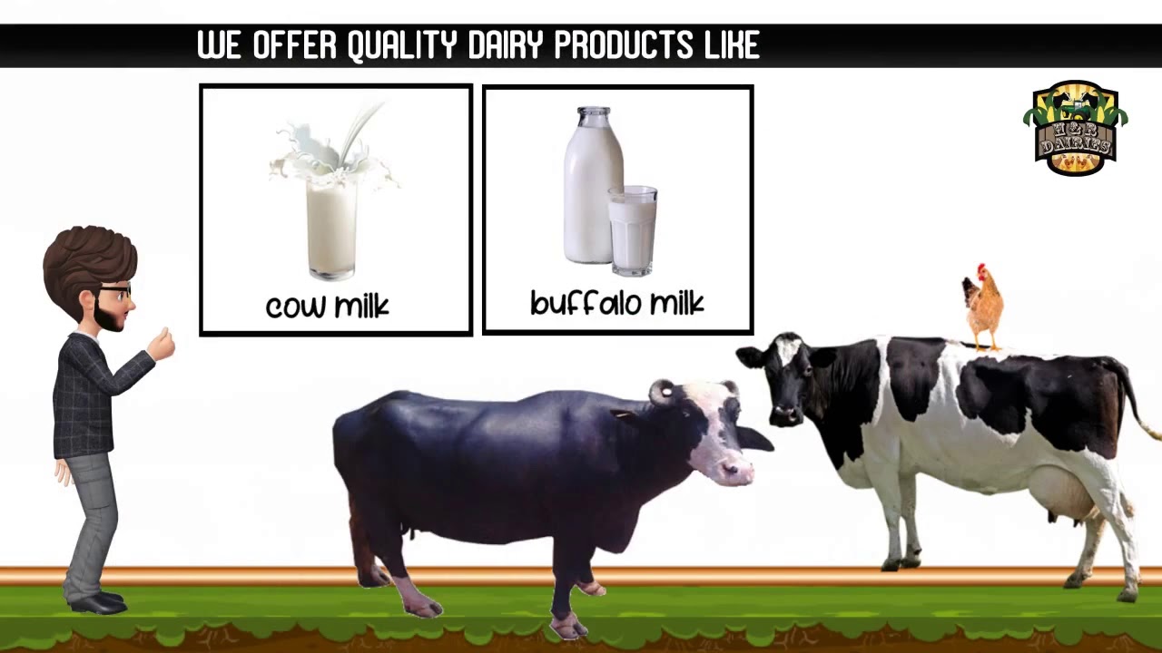 H&R Dairies l 26designer l  whiteboard animation