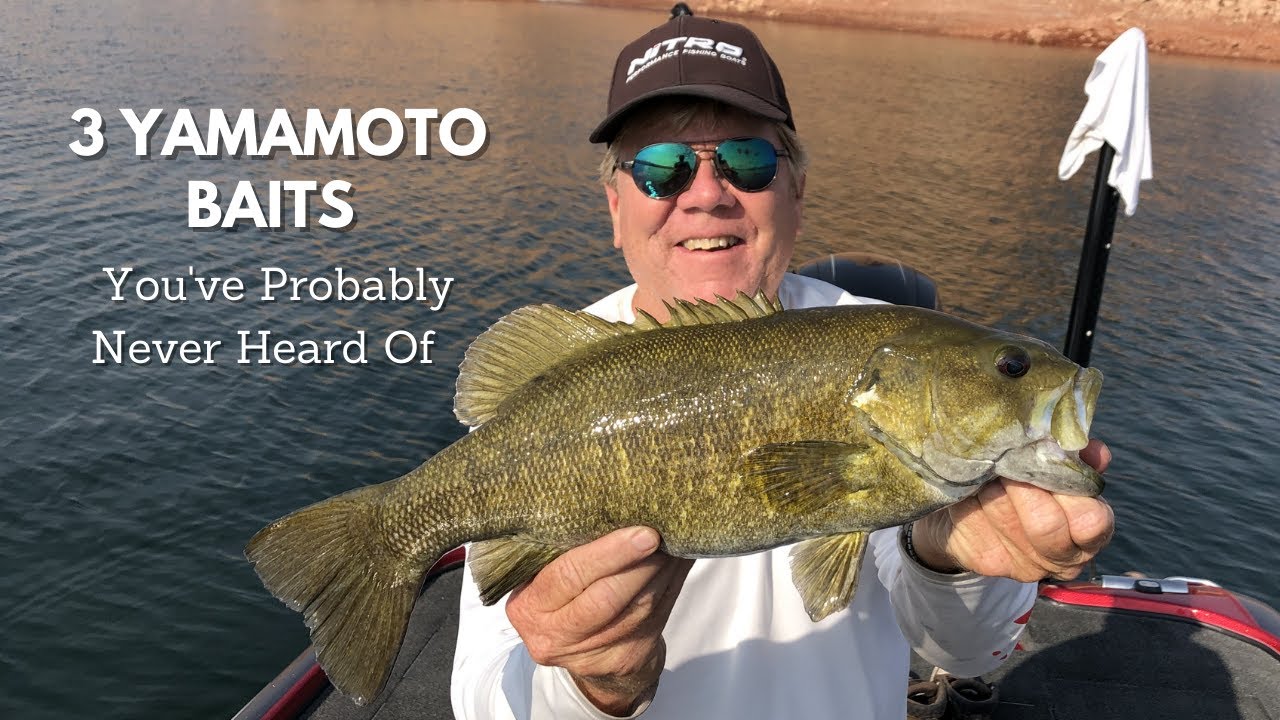 3 Unmentioned YAMAMOTO Baits Testing - Surprising Results!
