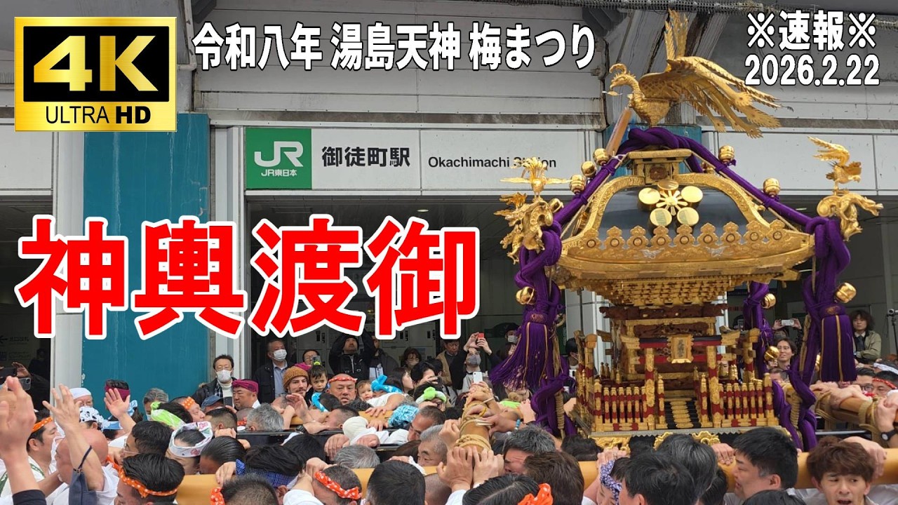 【4K Japan】※速報※ 2026.2.22  湯島天神 梅まつり『神輿渡御』#湯島天神 #梅まつり #神輿 #御徒町駅