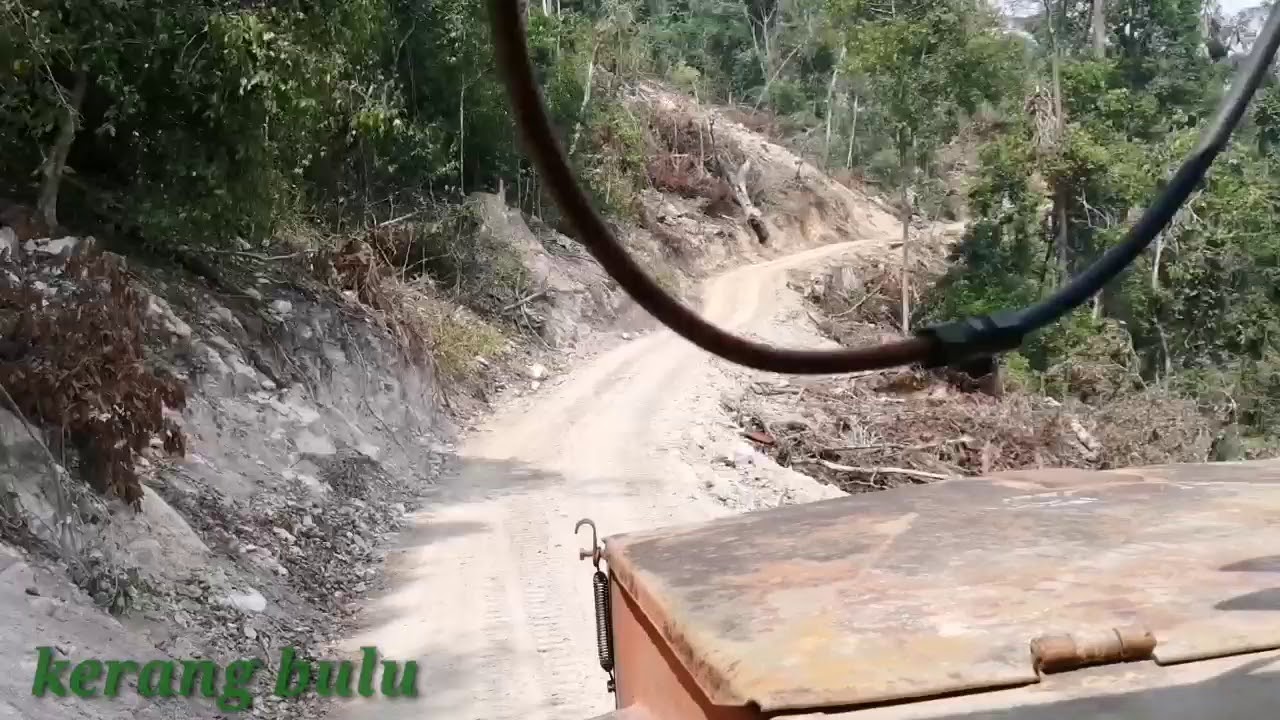Extreme Hauling Logs Off Mountain With Death At every angle, Real Trucker Driver.