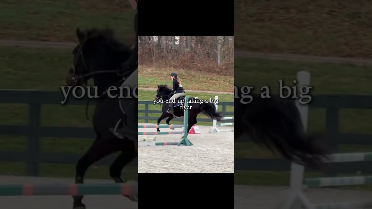 CAPCUT WHERE IS SERIF #horse #equestrianevent #horseenthusiast #equestrianshow