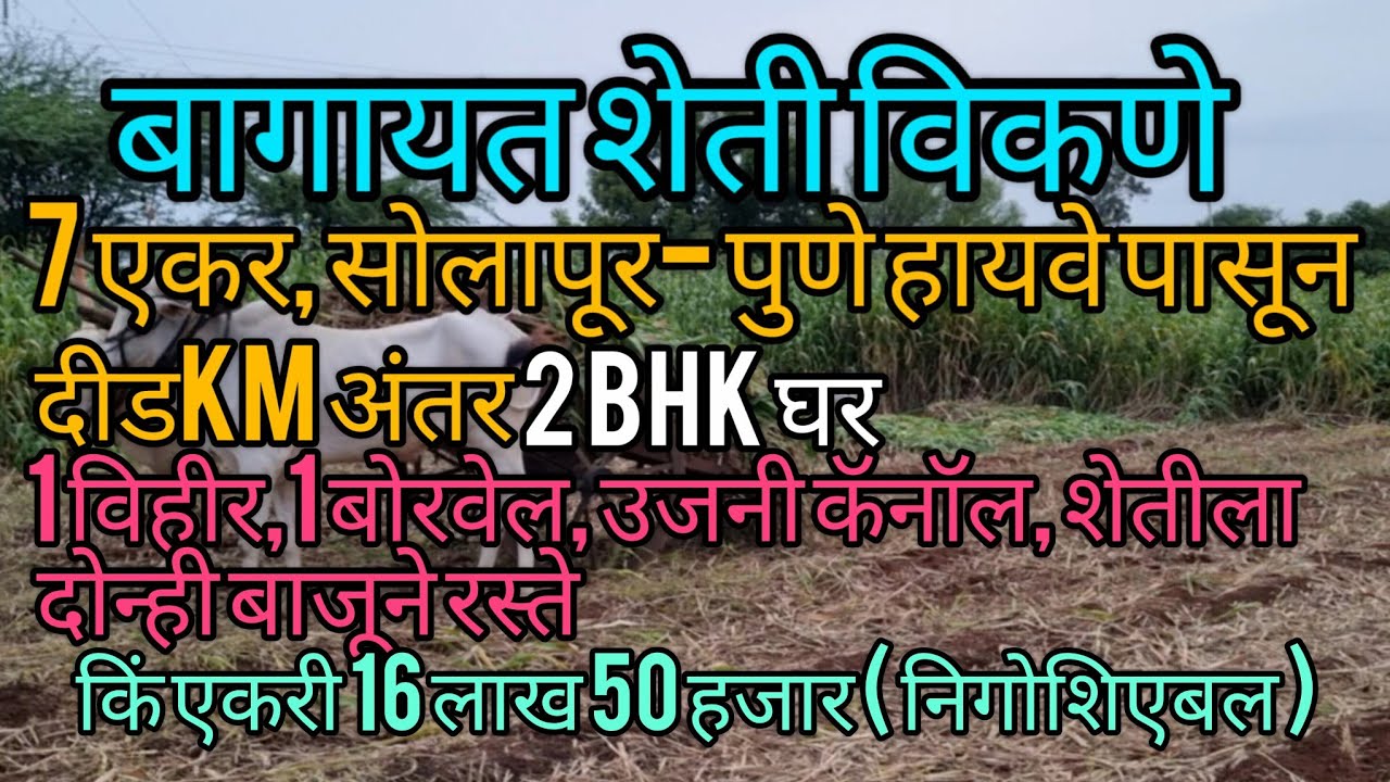बागायत शेती विकणे 7 एकर अगदी स्वस्तात