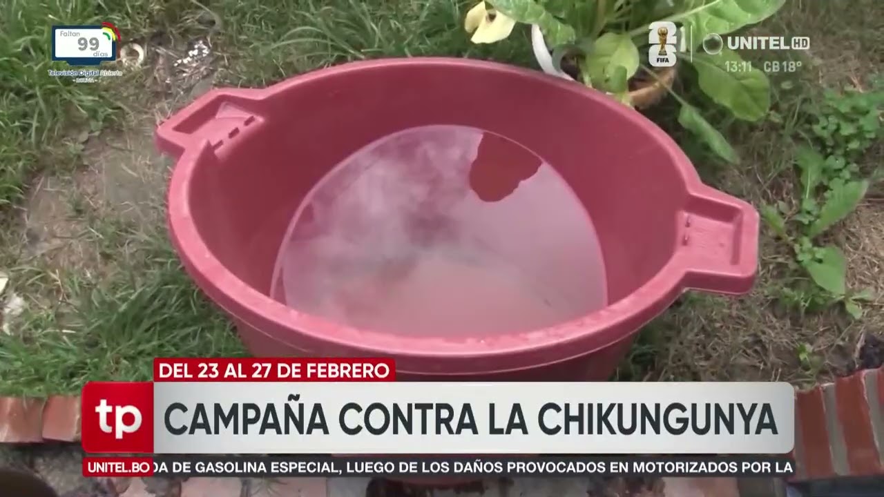 Alistan campaña preventiva contra la chikungunya en Cochabamba