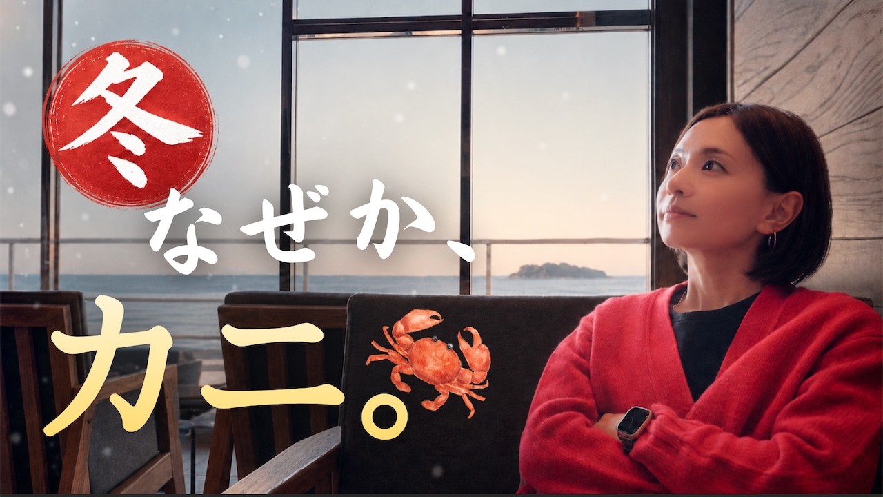 環境音ASMR｜横須賀 カニ🦀、絶景スタバ｜冬の音で整える日