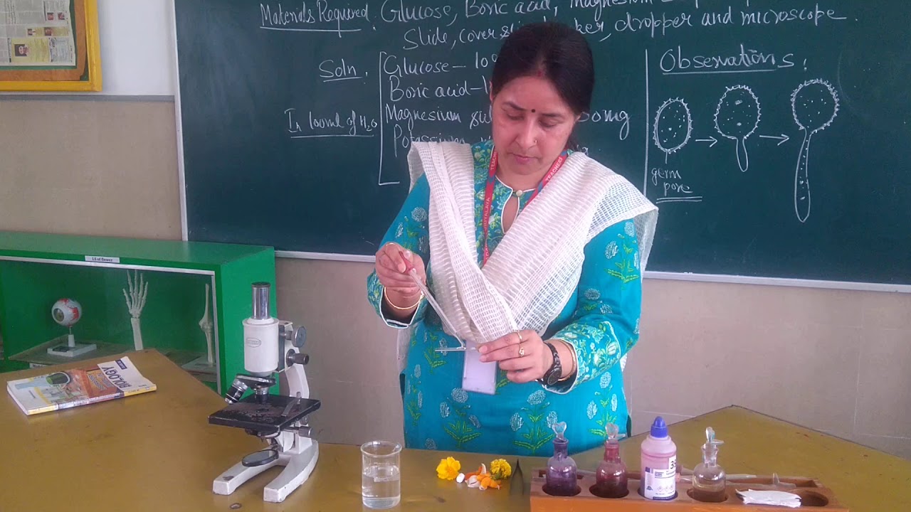 Practical ,class 12 Biology, Pollen germination