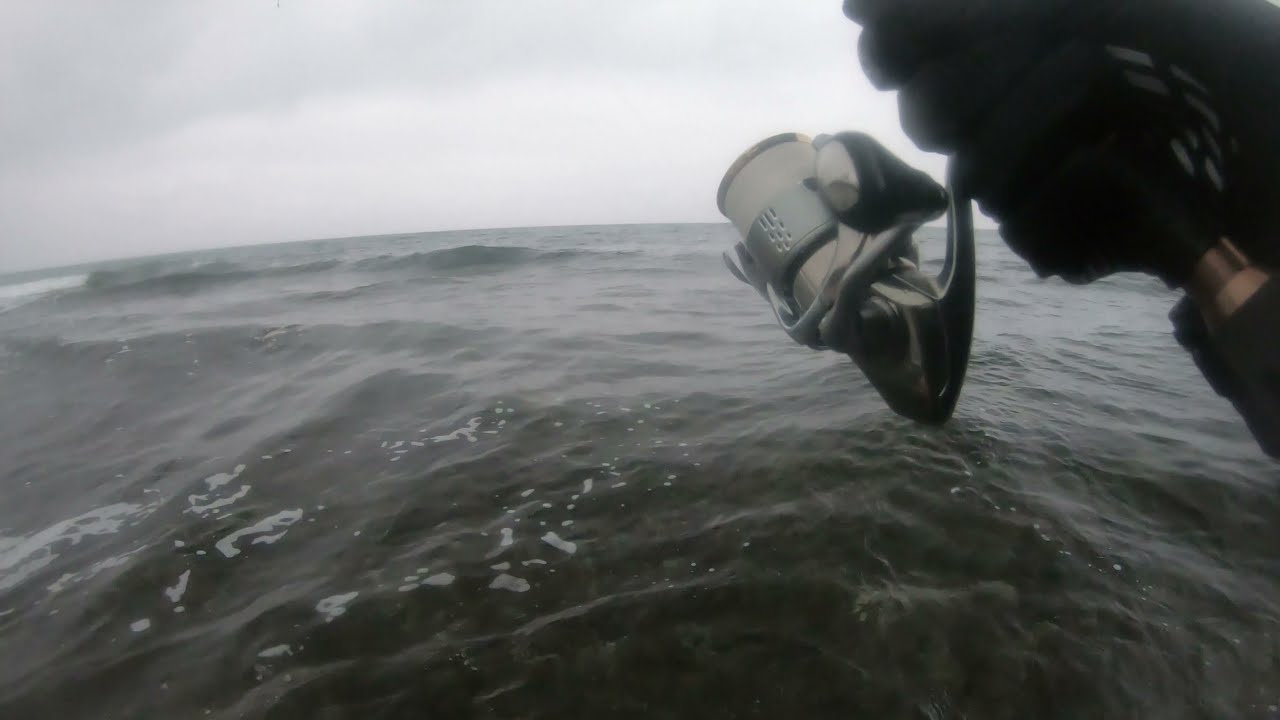 Havørred fiskeri på Møn midt November 2021