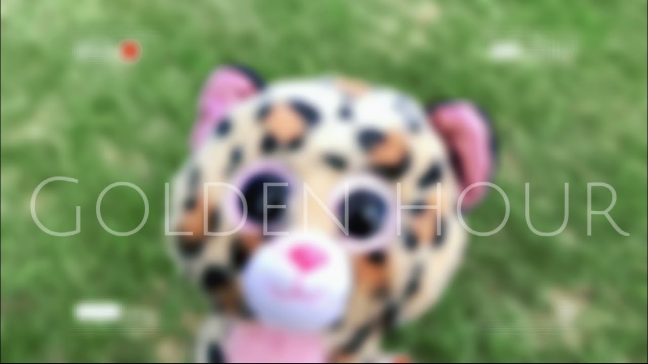 Golden Hour - Beanie Boo Edit | MidnightBoo