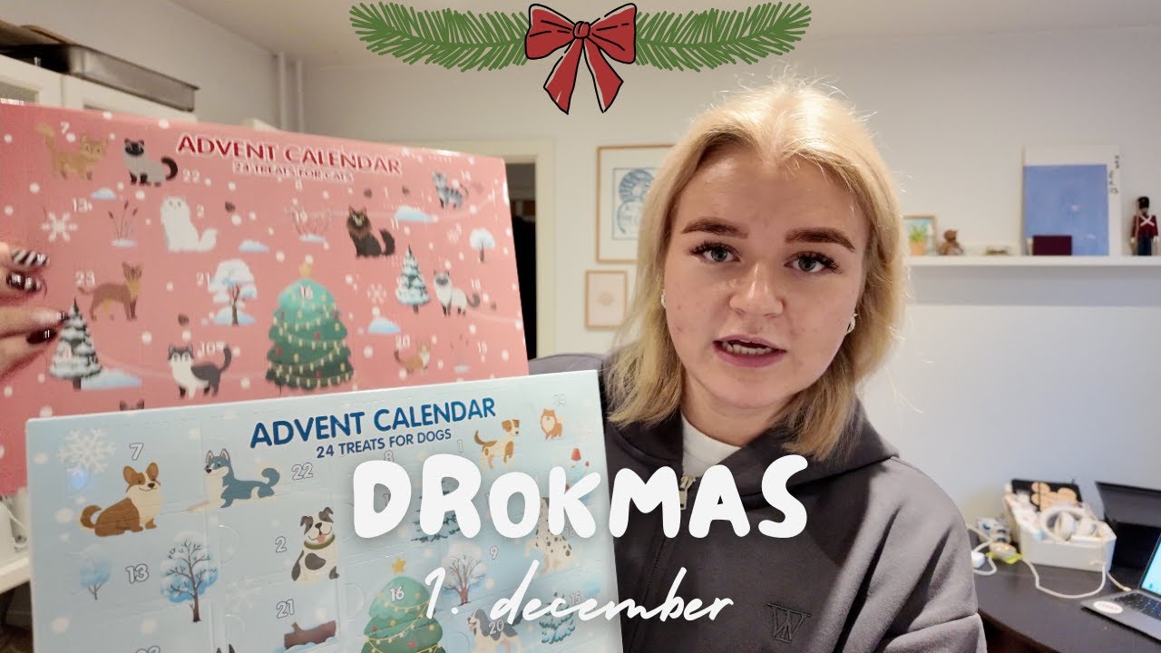 VI TAGER I KÆMPE SOMMERHUS