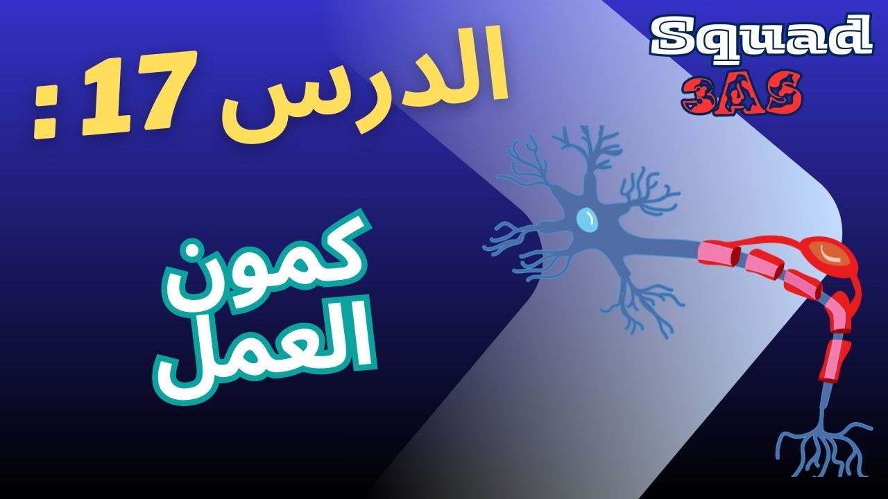 📚 شرح شامل لدرس كمون العمل – بكالوريا