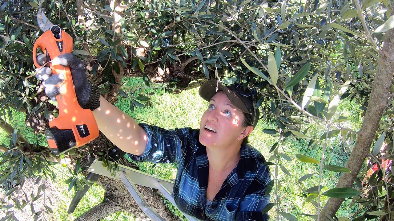 Tackling Fun Tasks in the Sunshine - Off Grid Homestead in Portugal