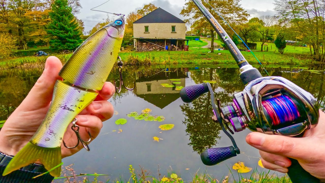 On revient 1 an APRÈS, pour tenter de PÉCHER le plus GROS POISSON de l’ÉTANG au fond du JARDIN !!