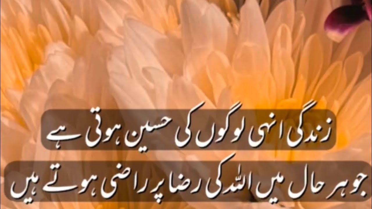 جوہر حال میں اللہ کی رضاپرراضی ہوتے ہیں                  When you be successfuli four Allhameet