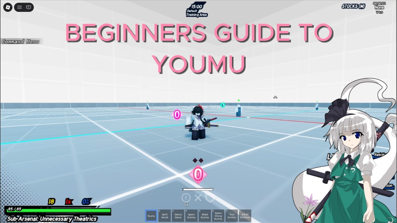 Allusions 2| A Beginners Guide to Youmu