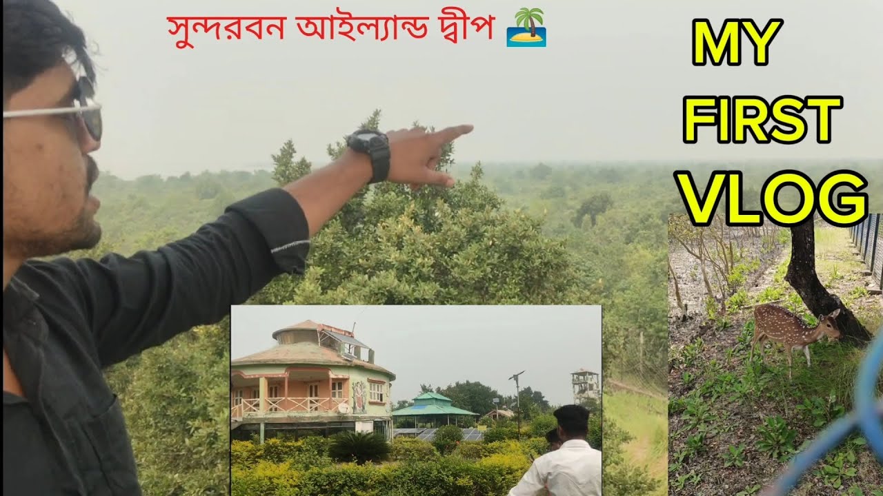 সুন্দরবন রাইদিক একটি দ্বীপের 🏝️😲🐅ভিডিও#youtubeshorts #blog 