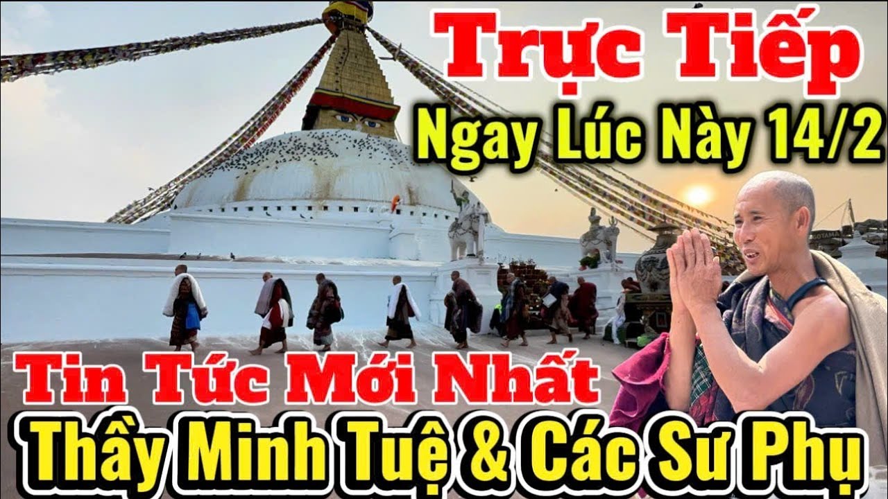Trực Tiếp Tin Tức Mới Nhất Thầy Minh Tuệ & Các Sư Phụ Ngay Lúc Này 14/2 (27 TẾT) #suminhtue #moinhat