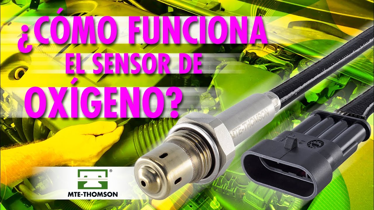 C&oacute;mo Funciona el Sensor Ox&iacute;geno?