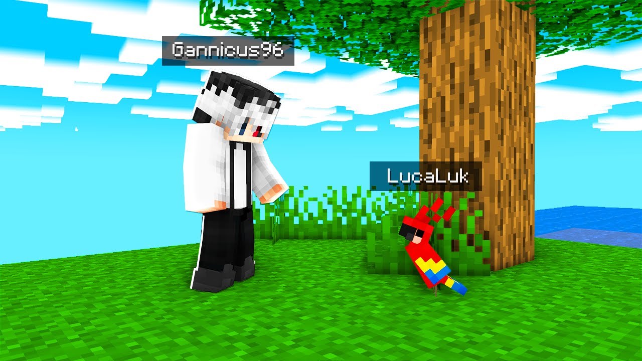 Minecraft, Dar Prietenul Meu Este Un Papagal