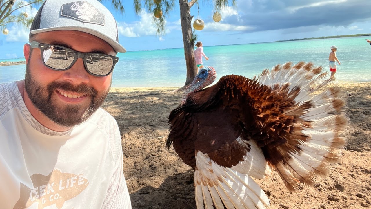 An Animal Sanctuary on a Tropical Island!