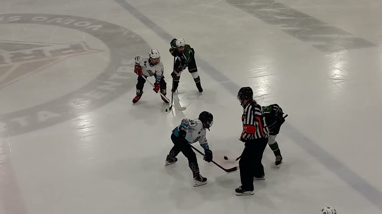 BV u11 baltu vilki Skabarga 28.03.2026