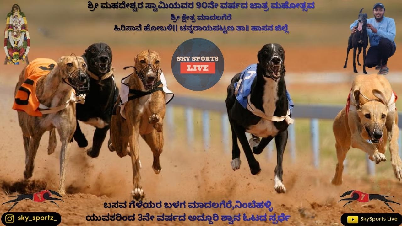🔴 LIVE | DOG RACE | BASAVA GELEYARA BALAGA | SOUTH GRAY & ASSOCIATION NIMBEHALLI  | 22/02/2026🦮🐕‍🦺