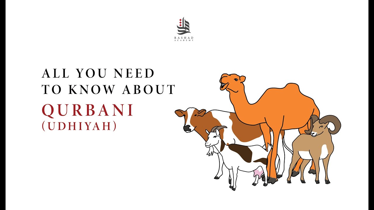 EVERYTHING YOU NEED TO KNOW ABOUT QURBANI (UDHIYAH) | EXPLAINED WITH ANIMATIONS | Mufti Maruf Ahmed