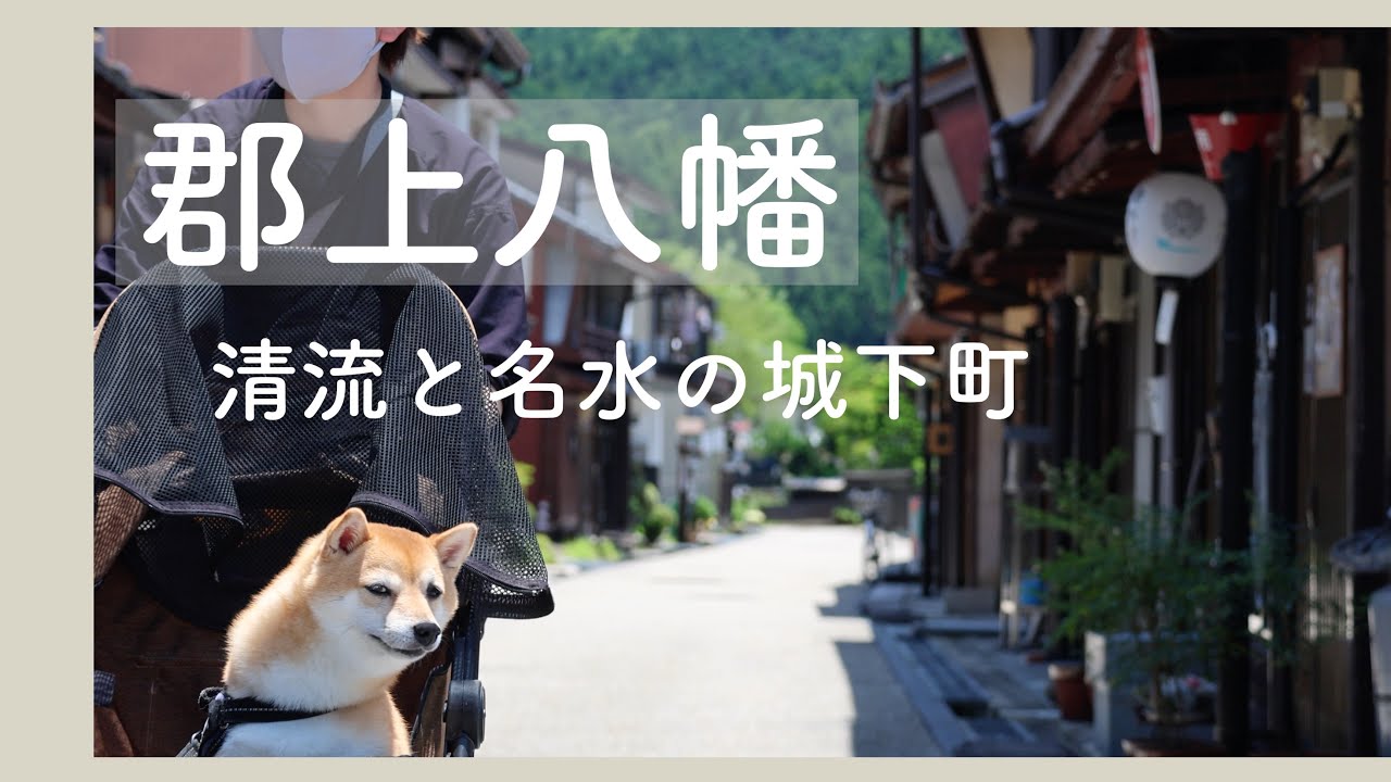 【犬とお出かけvlog】郡上八幡 風情ある古い町並みを柴犬と観光（岐阜）