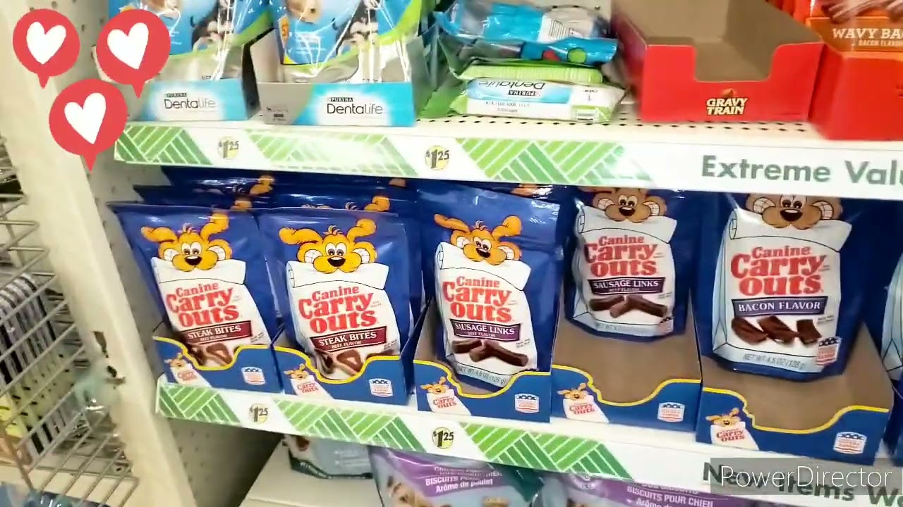 Dollar Tree $10 Budget Dog Supplies #dollartree #dogtraining