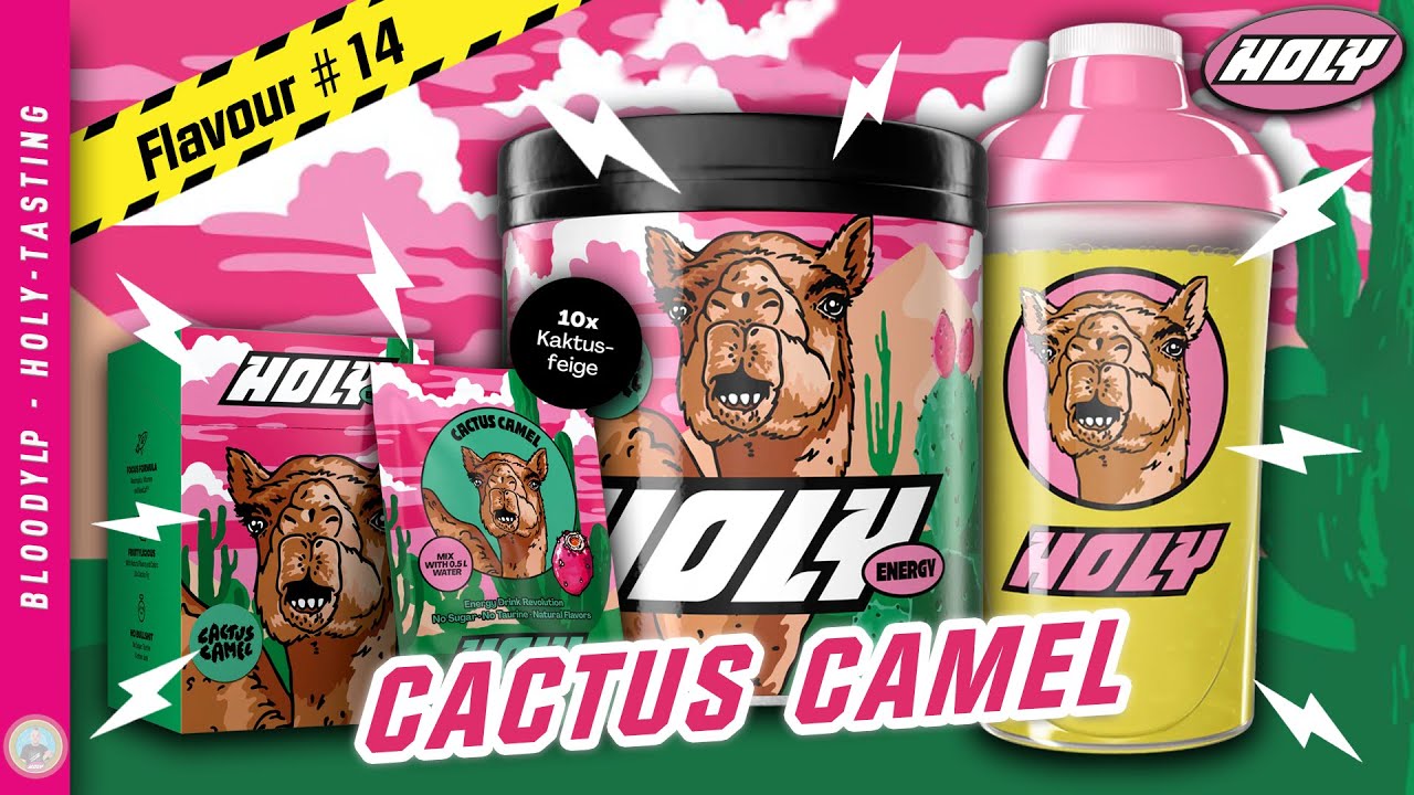 🐪 CACTUS CAMEL | HOLY ENERGY IM TEST | HOLY SORTE #14