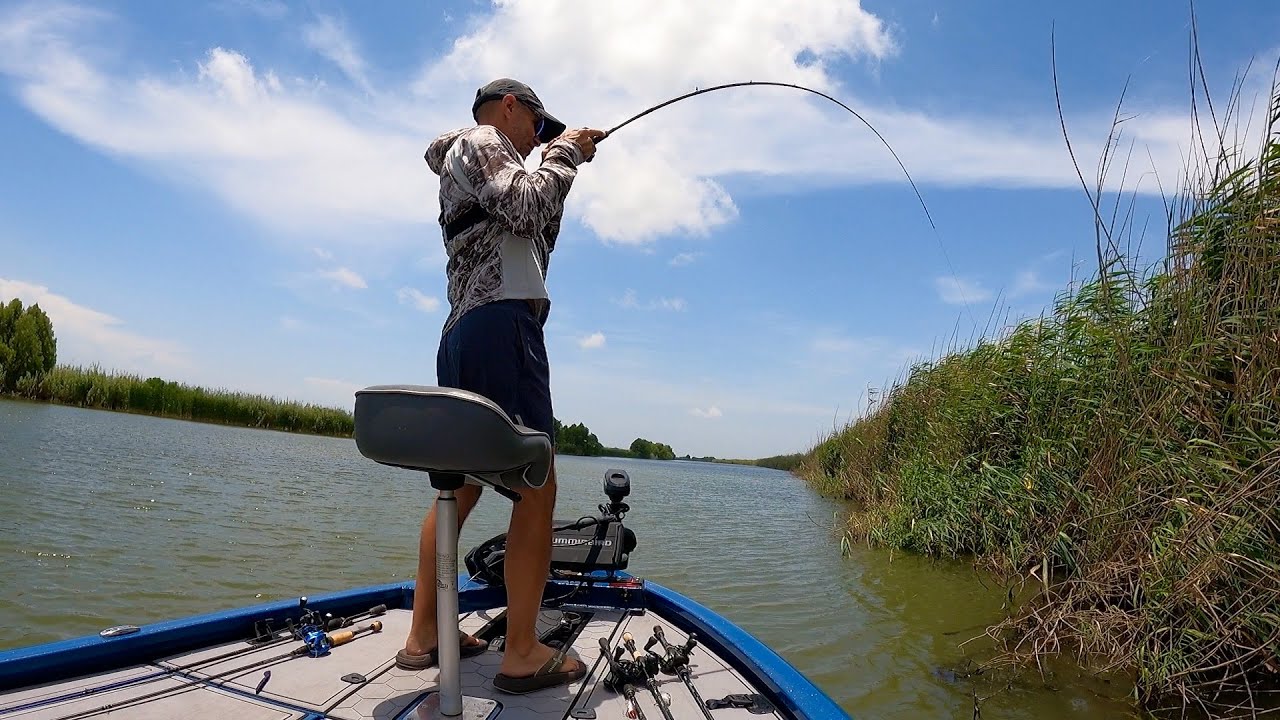 Yanking TONS of Fish From Right Below Our Feet!