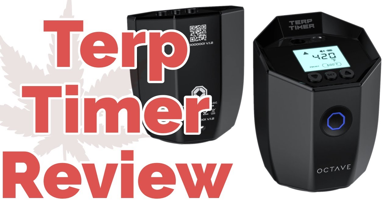 Terp Timer by OCTAVE Review