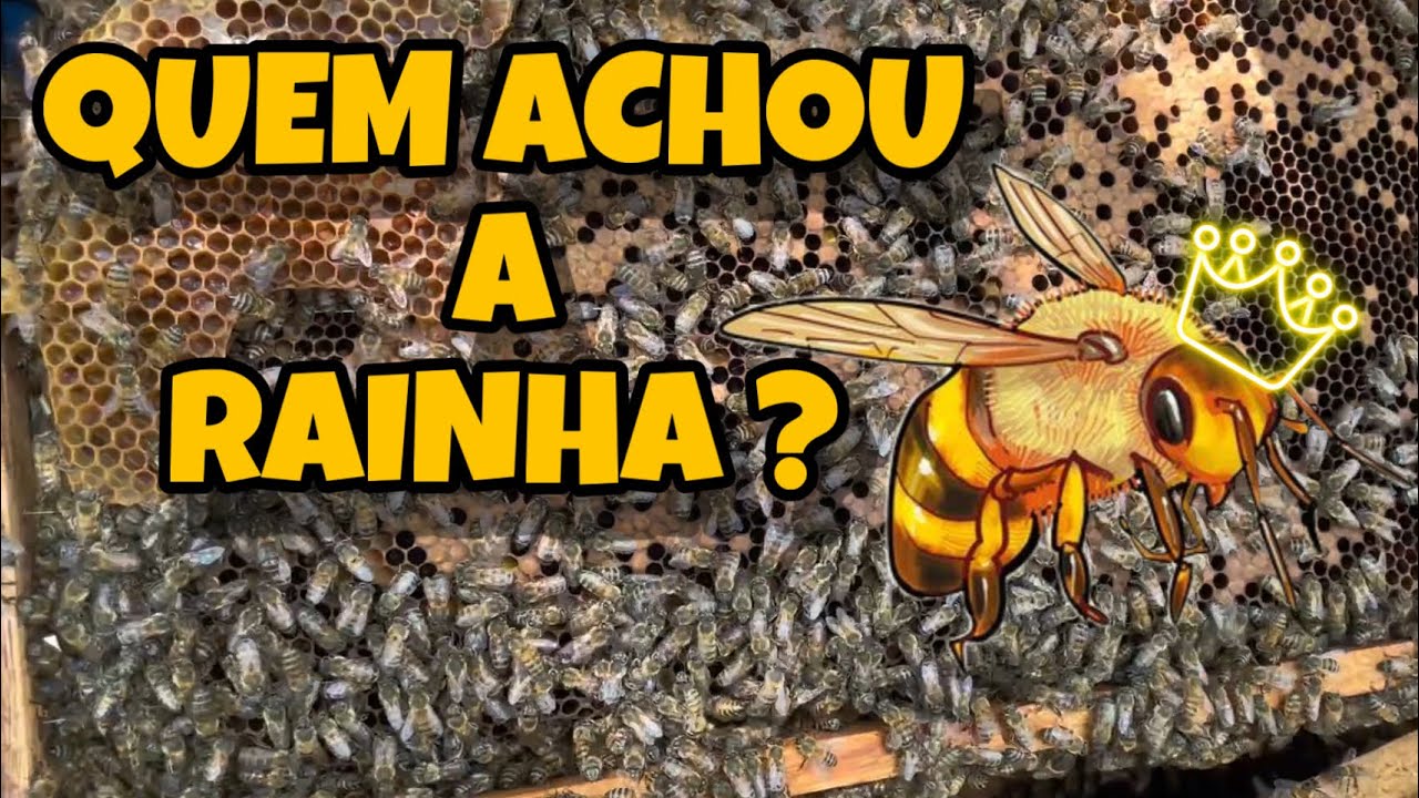 QUASE NO PONTO DE TIRAR O MEL ENXAME MUITO GRANDE REVISÃO IMPORTANTE ! 🐝🌻