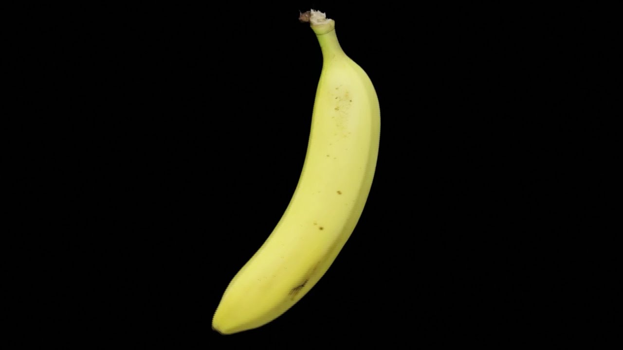 Everything Matters | Potassium | Ron Hipschman and Nate Campbell | Exploratorium