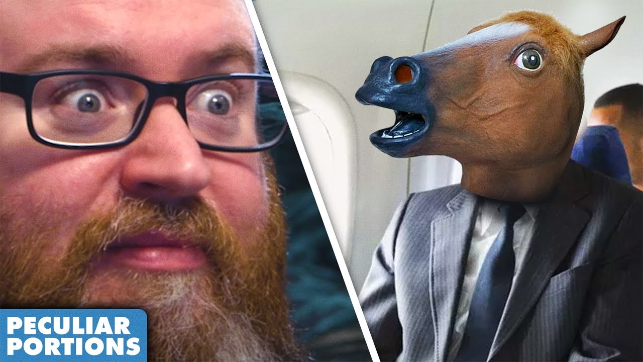 Horse Allowed On Plane, Flies First Class