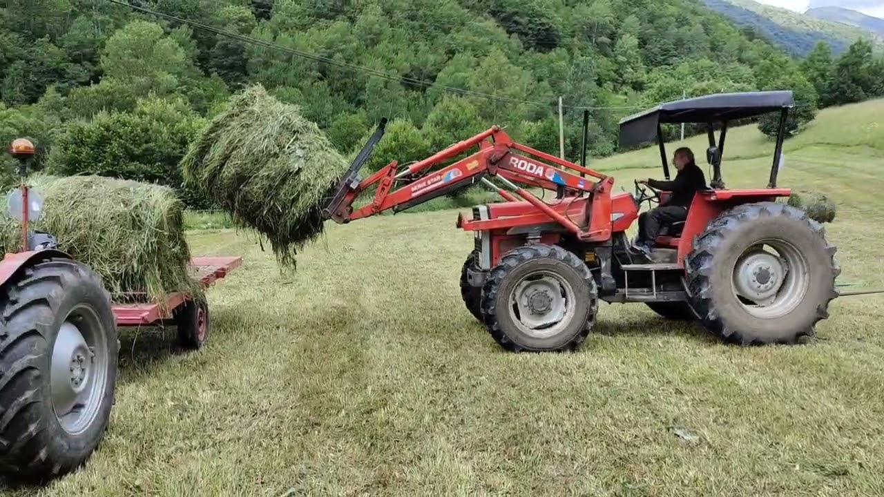 Tractores Massey Ferguson 135 Ebro con plataforma y Massey Ferguson 375 dt con pala Roda
