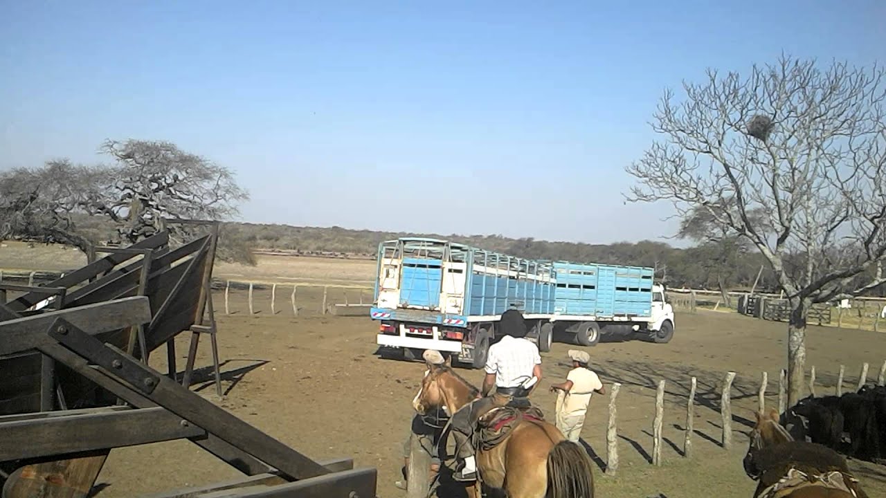 Camion Jaula Atracando
