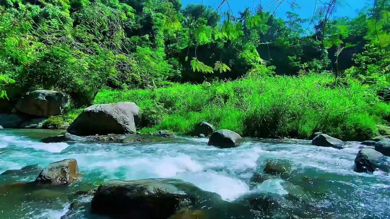 Mountain Stream Soft Water Flow, Forest River Audio, Sleeping