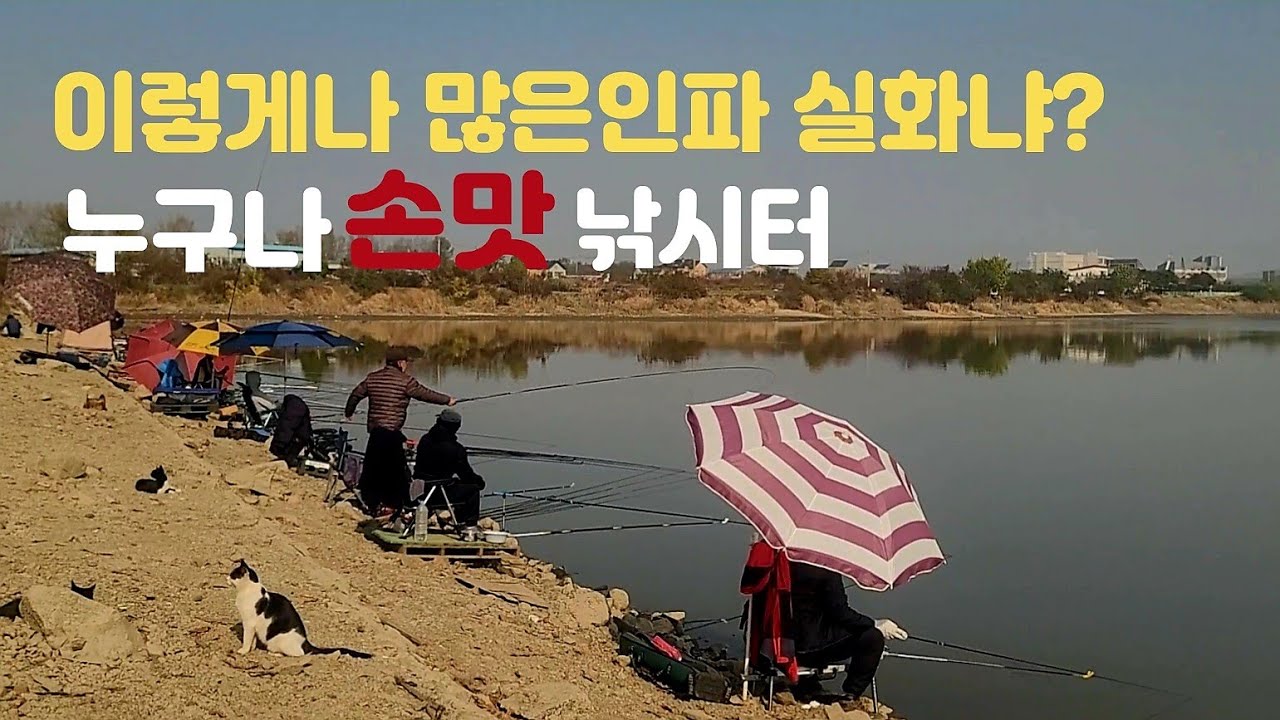 이렇게 많은 낚시인이 실화냐? 검단수로 붕어낚시